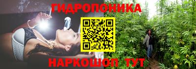 гашик Пыть-Ях