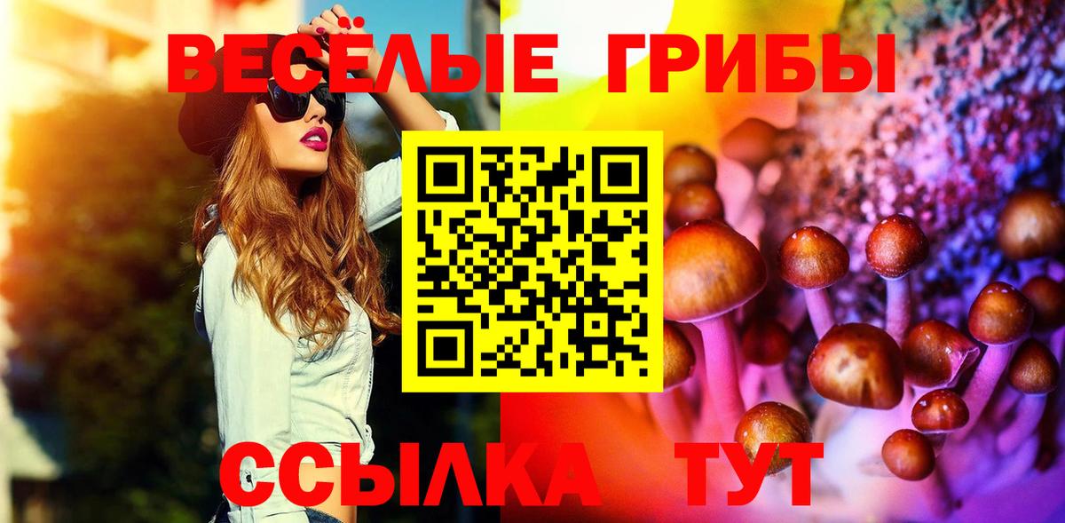 Псилоцибиновые грибы GOLDEN TEACHER  Вход с VPN  Алатырь 
